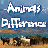 Animal Differences